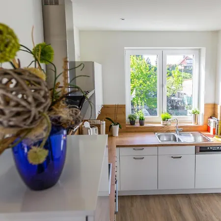 Lägenhet Hangar 19 Luxusapartment Mit Sauna, Kamin, Dachterrasse Und Seeblick H5w3 Schwerin (Mecklenburg-Vorpommern)