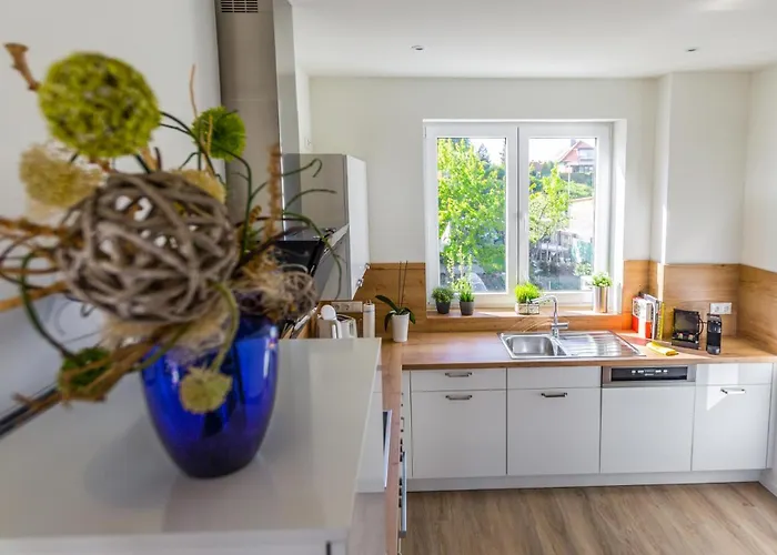 Apartment Hangar 19 Luxusapartment Mit Sauna, Kamin, Dachterrasse Und Seeblick H5w3 Schwerin (Mecklenburg-Vorpommern)